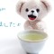 lovevirt