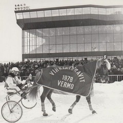 Vermo