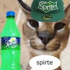 spirte