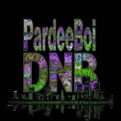 PardeeBoi ᵈⁿᵇ