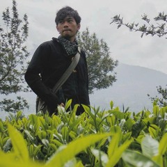 Andi Akhmad Alif Masselomo