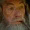 Gabba Gandalf