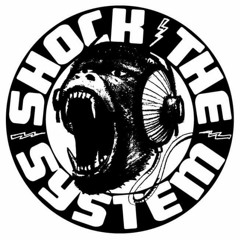 SHOCK THE SYSTEM ENTERTAINMENT