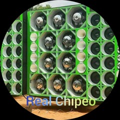 PAPAA TYGA - RUMORES - DOBLE TONO (CAR AUDIO) PARA MUSICOLOGOS - Real Chipeo