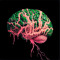 BRAINSICK