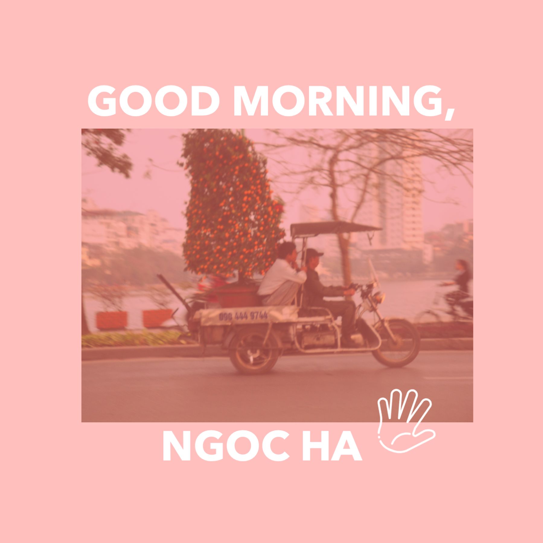 Good Morning Ngoc Ha