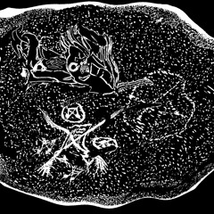 Darklord/necrosis larvarea
