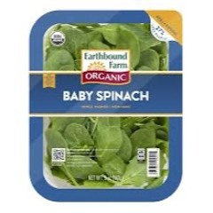 SPINach