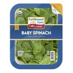 SPINach