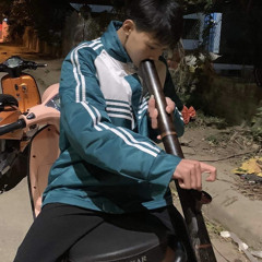 Việt Nguyên