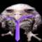 Owly