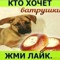 User 316602457