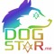 Dogstar Rose