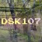 DSK107