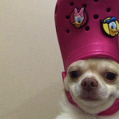 m̶̜̍̄è̷̛̗̳͚̙͇̘͍͕̊̑̿͘͜h̸͎̲͍̉̉͊̈́̓̕͝𐦟