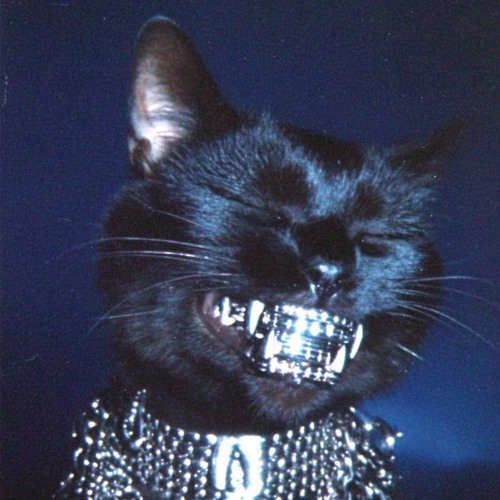 SAY (ISOxo Remix) x No Sl33p (Knock2, ISOxo & Playboi Carti)