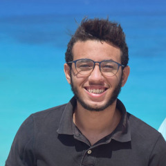 Mahmoud Nasser ElDakhly