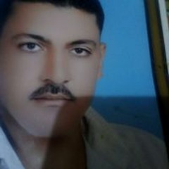 الشاوري الصاوى