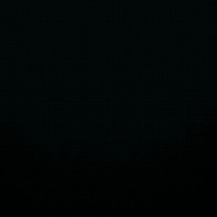 bu!