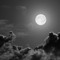 LonelyProducer