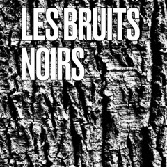 Les Bruits Noirs