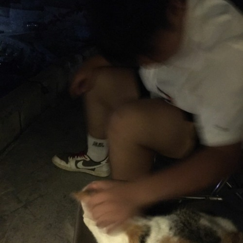 Chẳng Hợp Nhau Đâu - Lê Bảo Bình - Nam Ca Sĩ Giấu Mặt Cover - Dĩ Nhiên Rồi Người Ta Là Lựa Chọn...