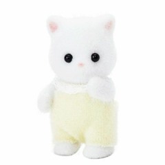 김안정