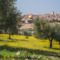 رُبَىٰ