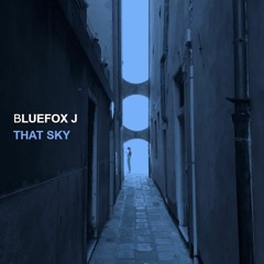 Bluefox J