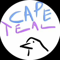 Cape Teal