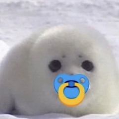 Baby Seal