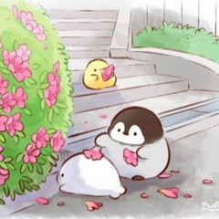 lil penguin