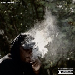 ZANTANNA6x