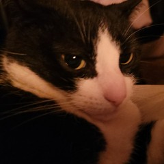 Doloro