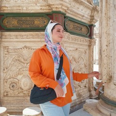 Menna Salah