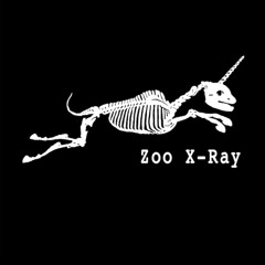 Zoo X-Ray