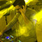 Arman