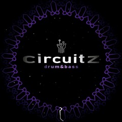 Circuitz 🔊