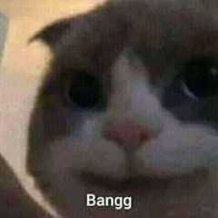Zuan Mnlng