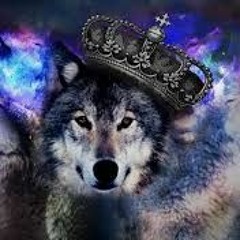Chase Wolf