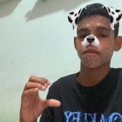 Ratinho Viana