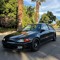 943xalex