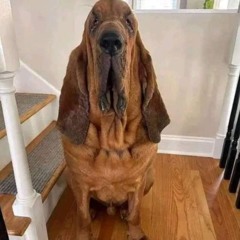 𝐌𝐀𝐍𝐀𝐊𝐑𝐙 ク