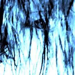 knife1ntheback