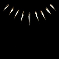 METHOD MAN | JOHNNY BLAZE | TICAL | SHAKWON THE PANTY RAIDER | SHOTGUN