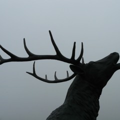 Maned