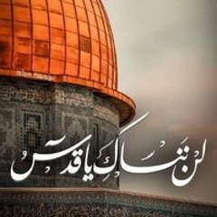 ام اسلام