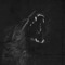 Dark Wolf