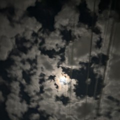 🖤