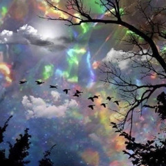 Artists 4 Life in the Sound